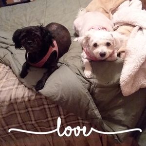 Meet your Posher, Linda